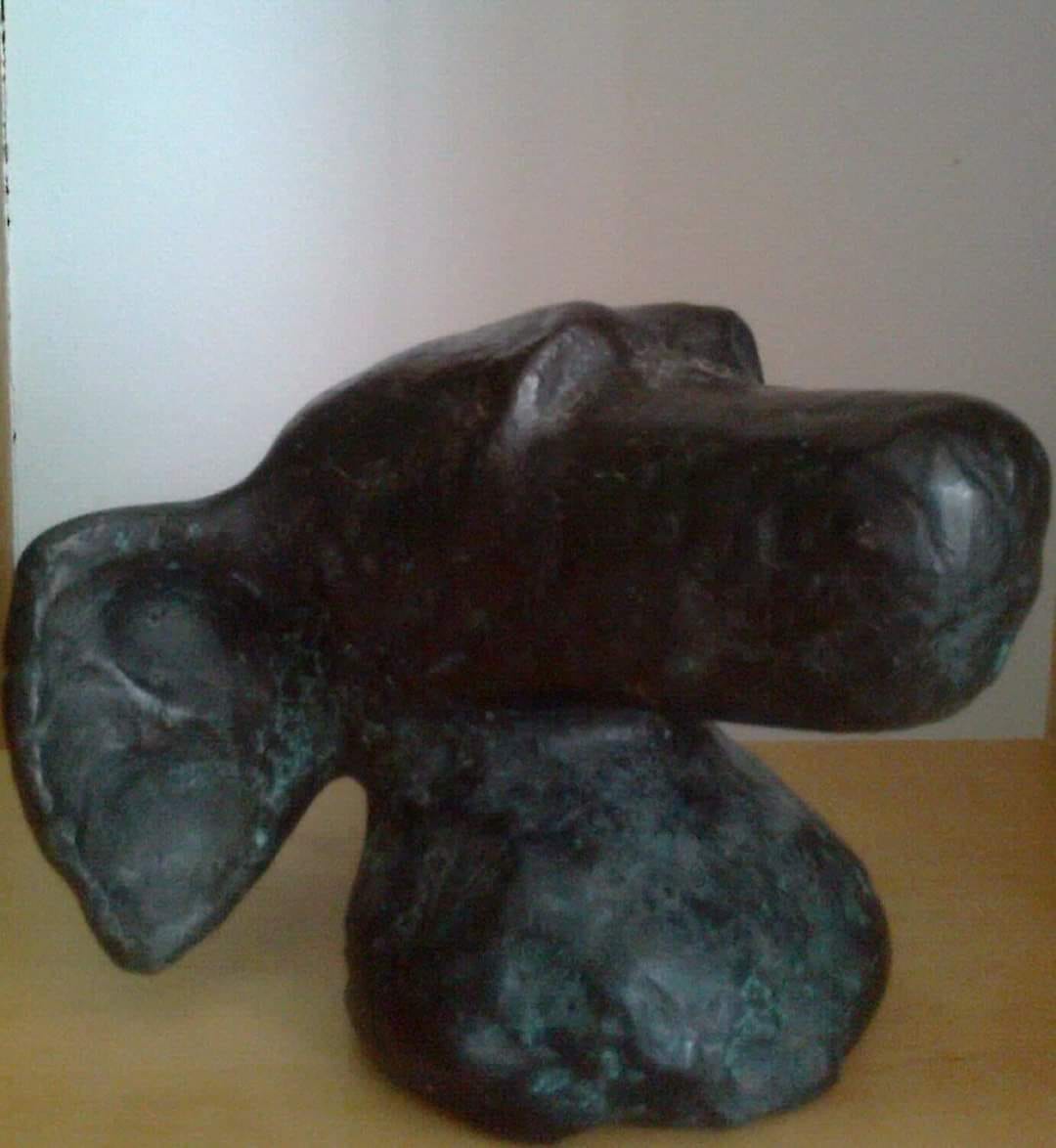 Image 22